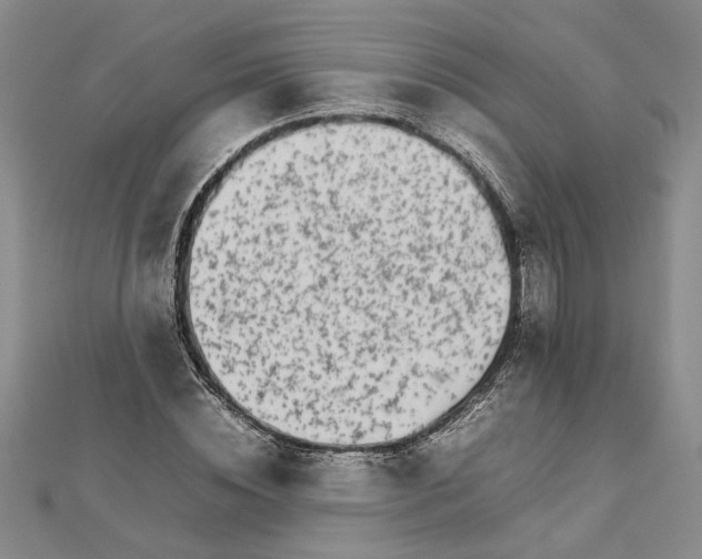 X0000111680828200908071423