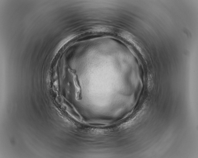 X0000111680829200908071423