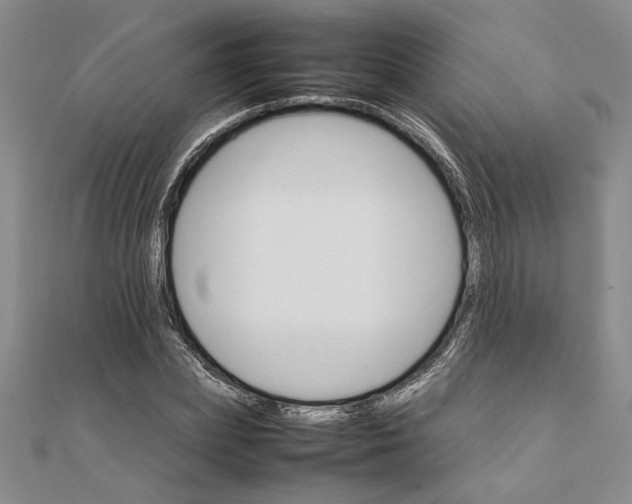 X0000111680831200908071423