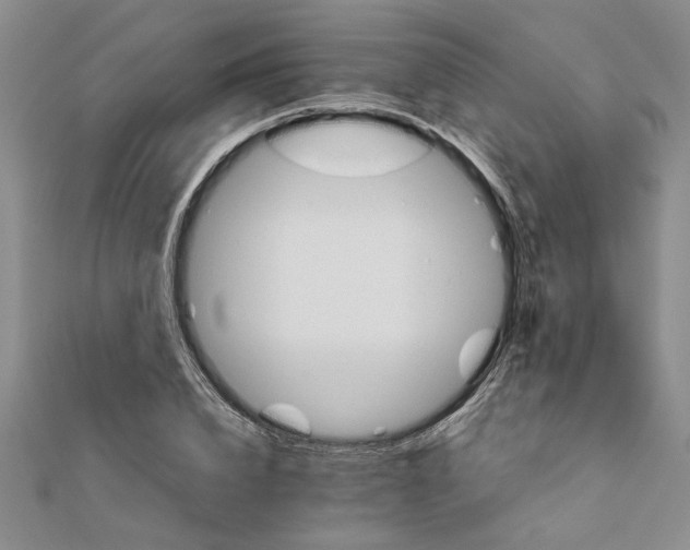 X0000111680832200908071423