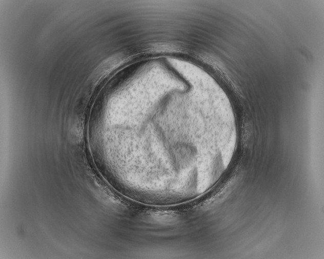 X0000111680833200908071423