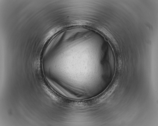 X0000111680834200908071423