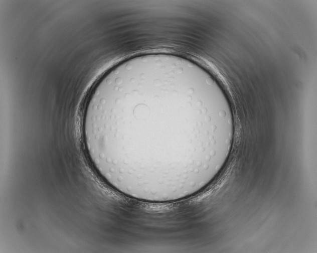 X0000111680835200908071423