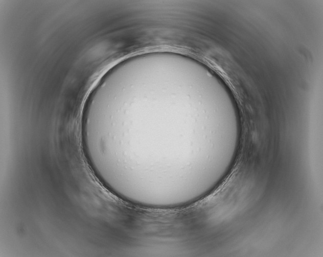 X0000111680836200908071423