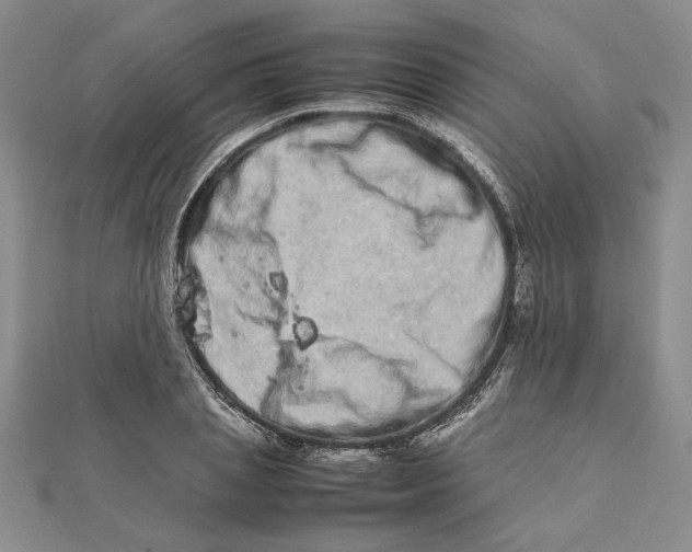 X0000111680837200908071423