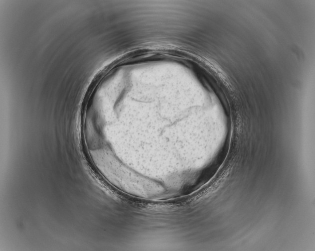 X0000111680840200908071423