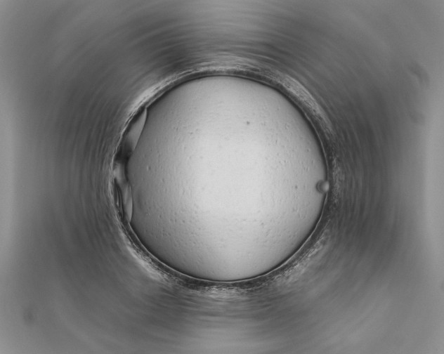 X0000111680842200908071423