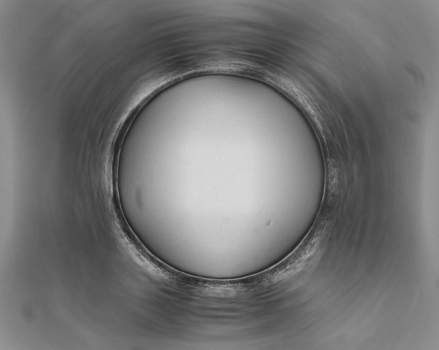 X0000111680843200908071423