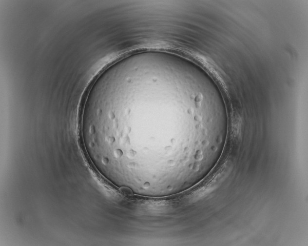 X0000111680845200908071423