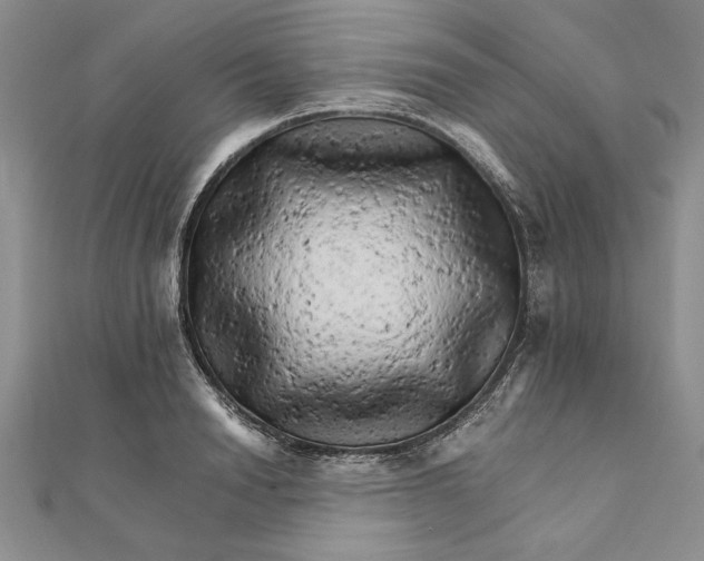 X0000111680846200908071423