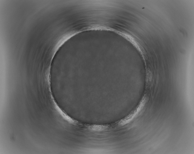 X0000111680847200908071423