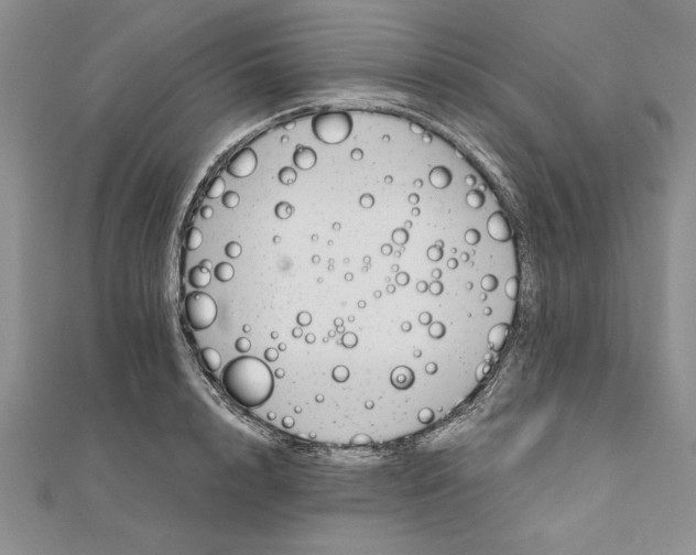 X0000111680848200908071423