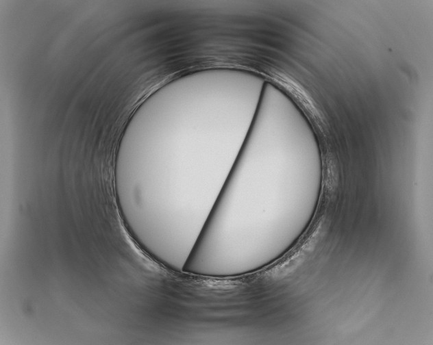 X0000111680849200908071423