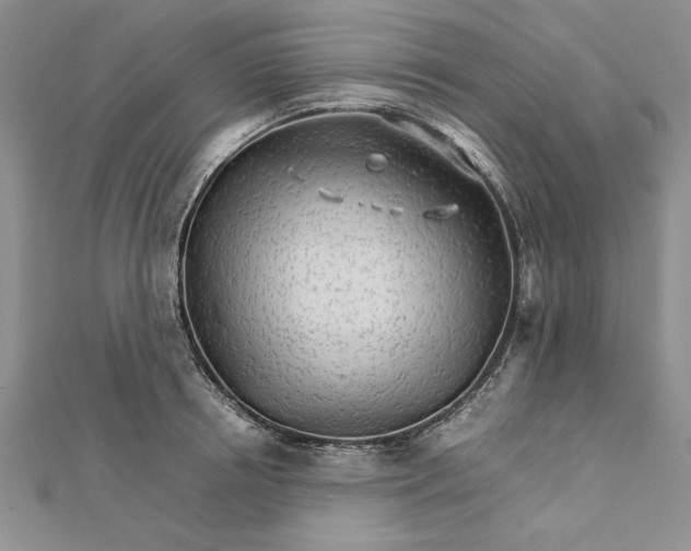 X0000111680850200908071423