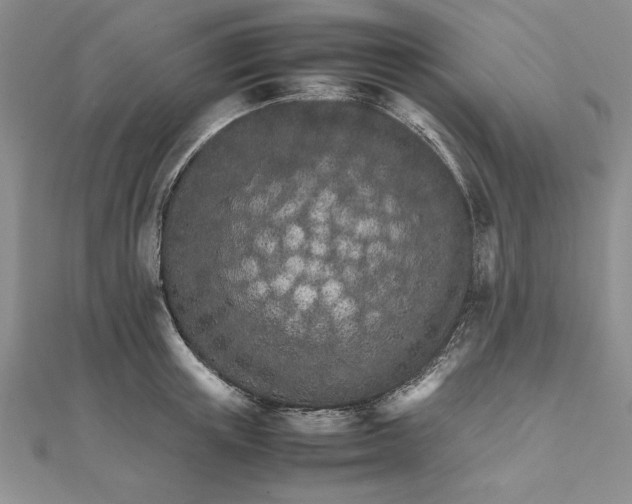 X0000111680851200908071423