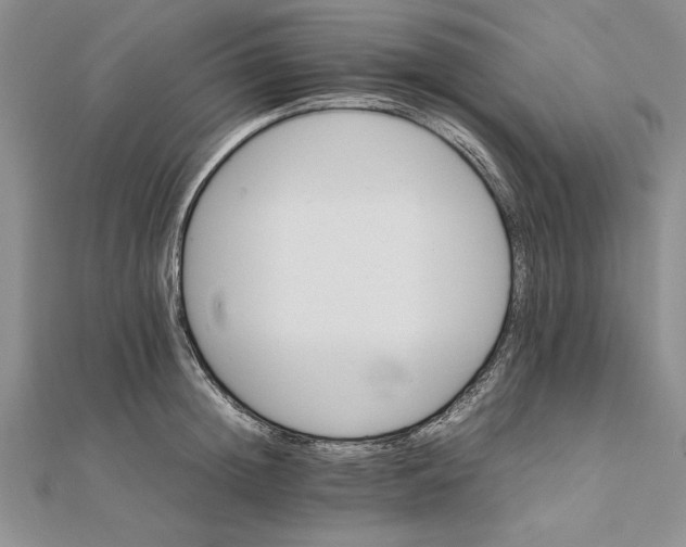 X0000111680852200908071423