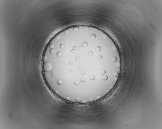 X0000111680853200908071423