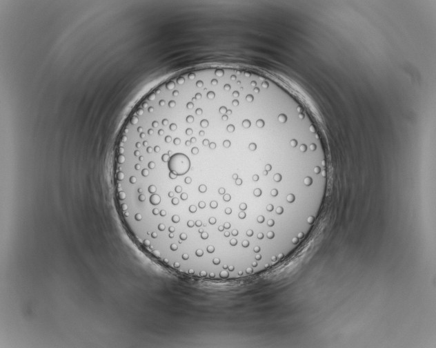 X0000111680855200908071423