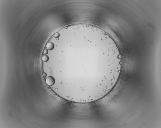 X0000111680856200908071423