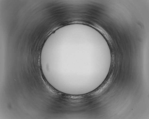 X0000111680857200908071423