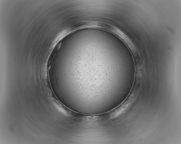 X0000111680858200908071423