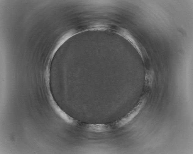 X0000111680859200908071423