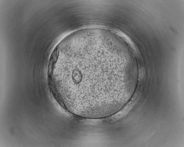 X0000111680860200908071423