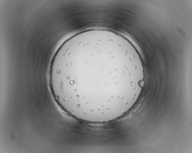 X0000111680861200908071423