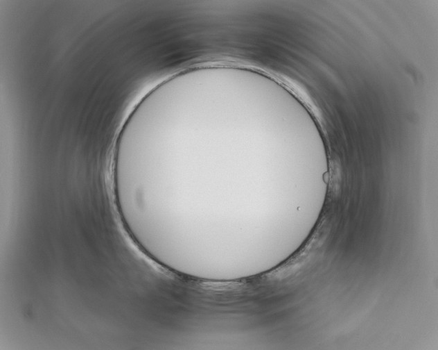 X0000111680863200908071423