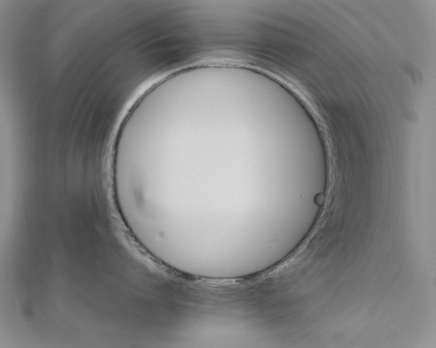 X0000111680864200908071423