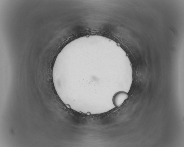 X0000111680865200908071423