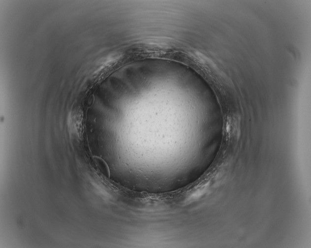 X0000111680867200908071423