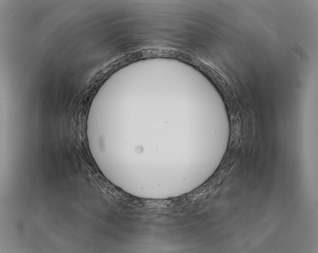 X0000111680870200908071423