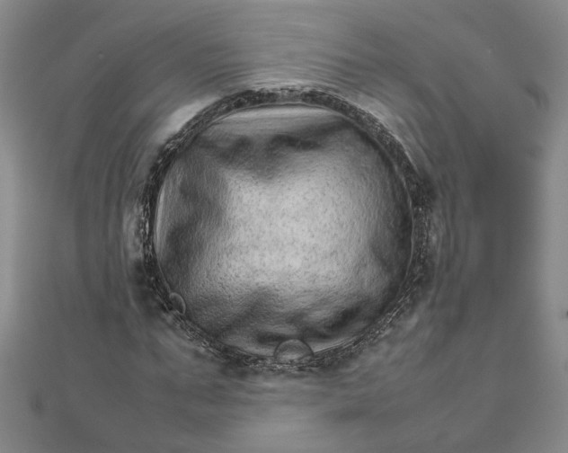 X0000111680871200908071423