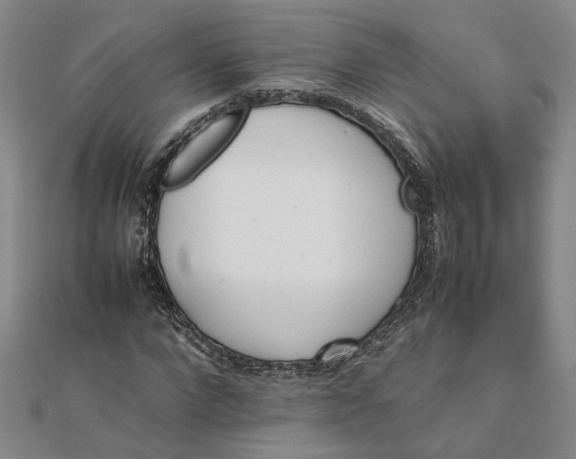 X0000111680872200908071423