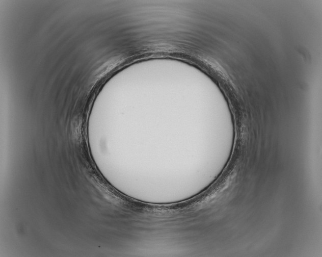 X0000111680873200908071423