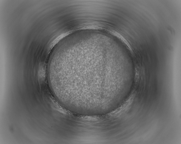 X0000111680874200908071423