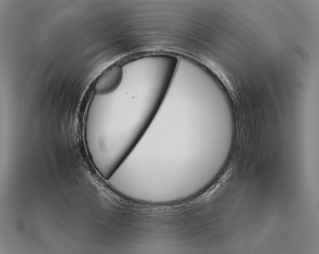 X0000111680876200908071423