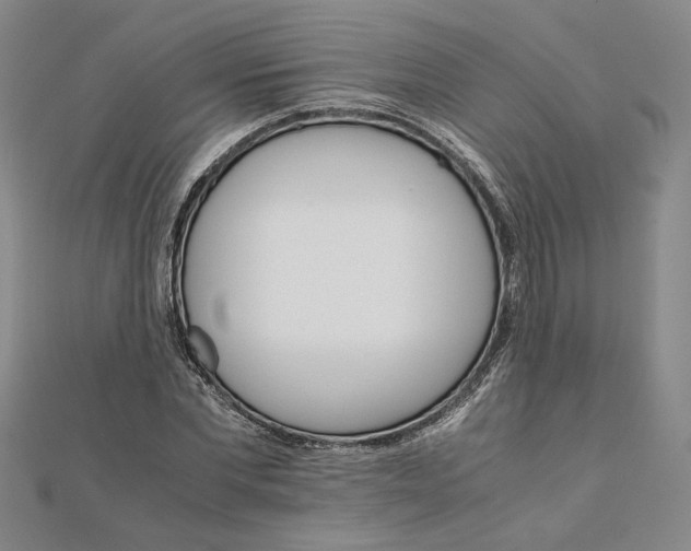 X0000111680877200908071423