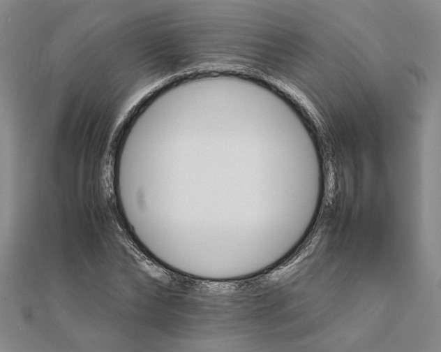 X0000111680878200908071423