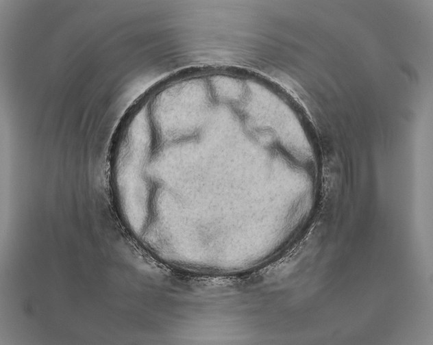 X0000111680879200908071423