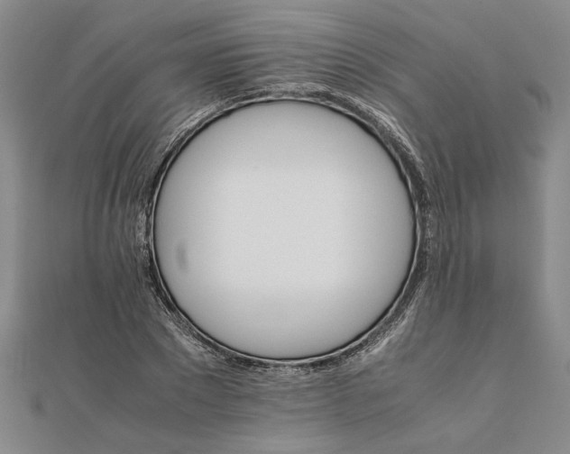 X0000111680881200908071423