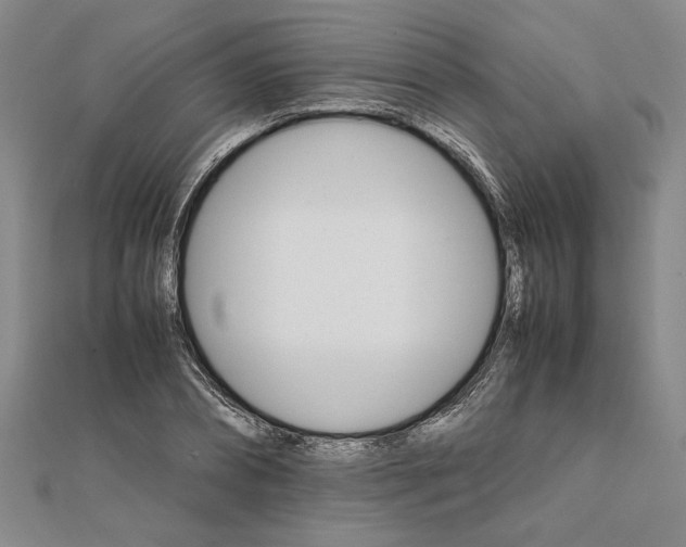 X0000111680882200908071423