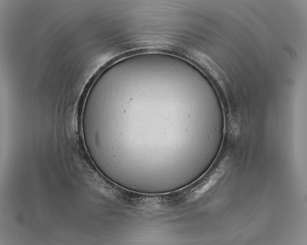 X0000111680883200908071423