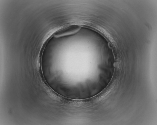 X0000111680885200908071423