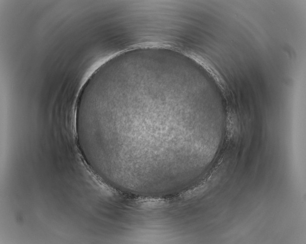 X0000111680886200908071423