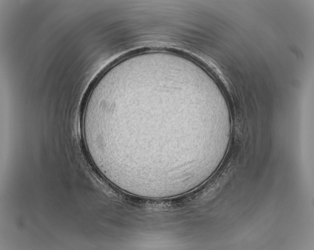 X0000111680887200908071423