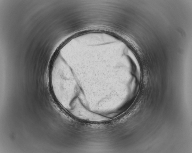 X0000111680888200908071422