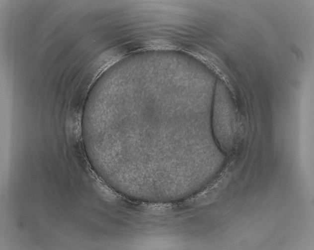 X0000111680889200908071422