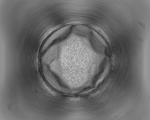 X0000111680890200908071422